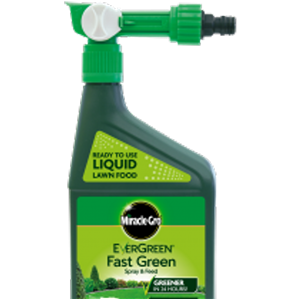 M/Gro Evergreen Spray & Feed